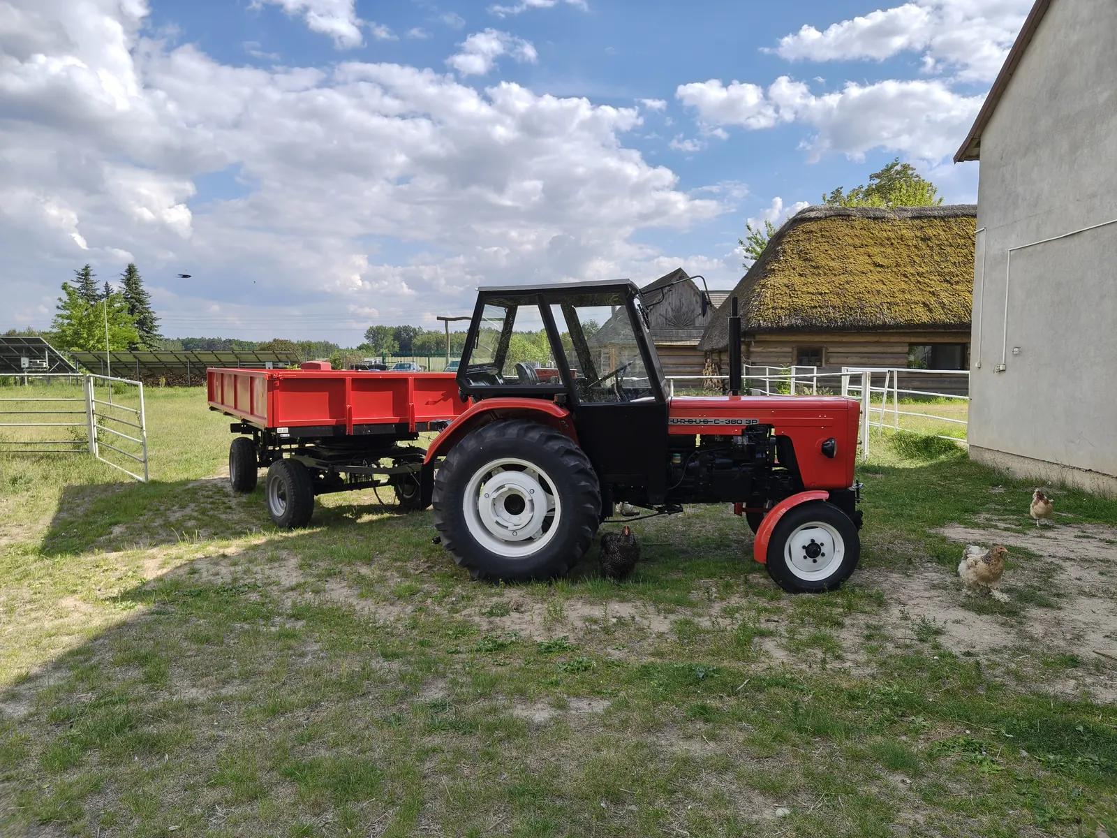 Zabytkowy traktor Ursus z przyczepą